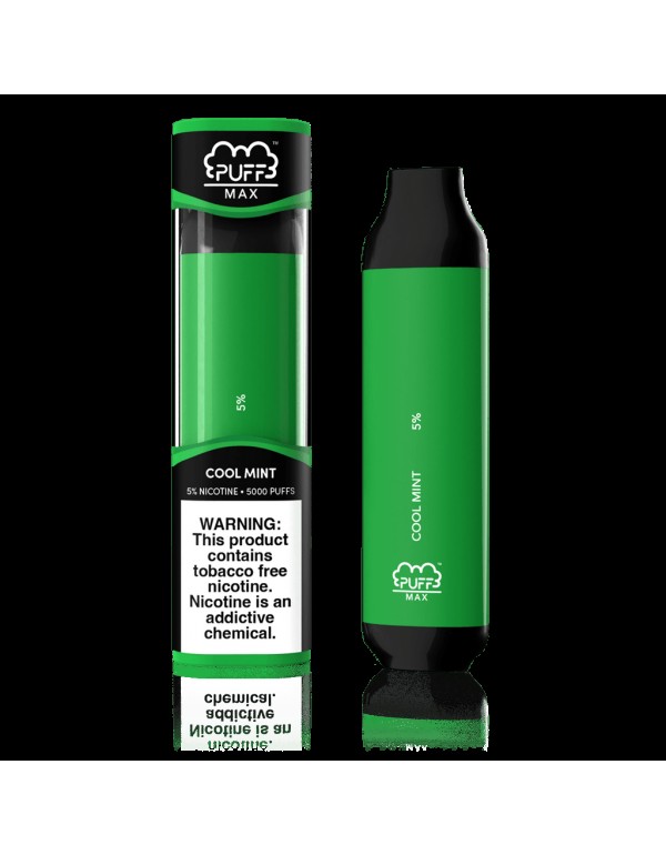 Puff Bar Puff Max Disposable Vape (5%, 5000 Puffs) - Magma Holding Inc